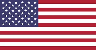 american flag-Buffalo