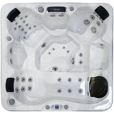 Avalon EC-849L hot tubs for sale in Buffalo