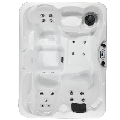 Kona PZ-519L hot tubs for sale in Buffalo